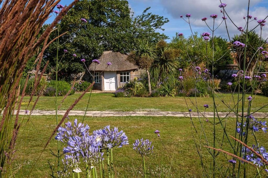 Vila The Beach House-Devon- On The Beach- Sleeps 20 Exmouth Exteriér fotografie