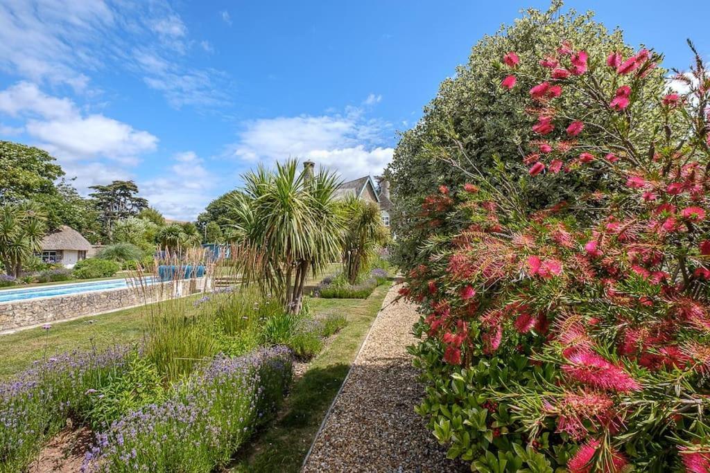 Vila The Beach House-Devon- On The Beach- Sleeps 20 Exmouth Exteriér fotografie