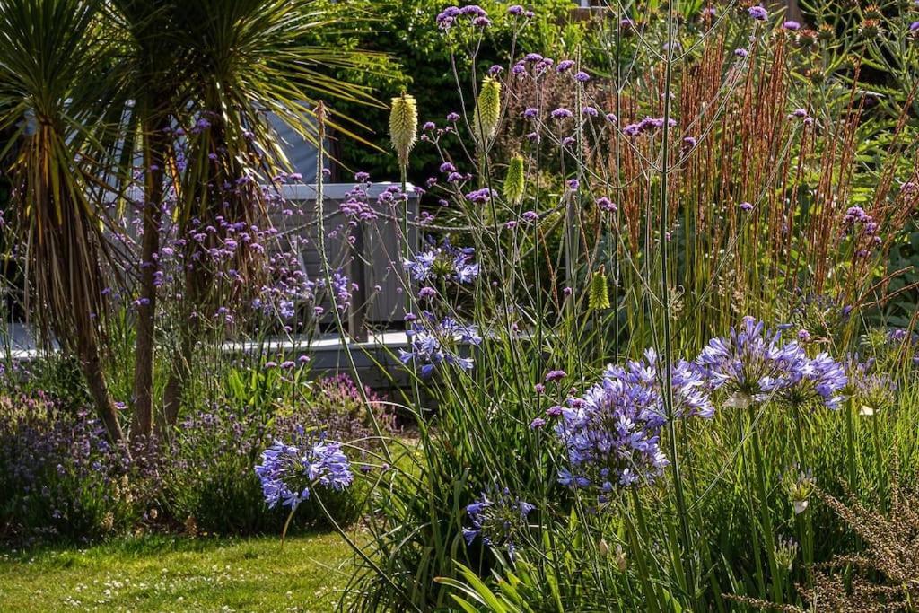 Vila The Beach House-Devon- On The Beach- Sleeps 20 Exmouth Exteriér fotografie